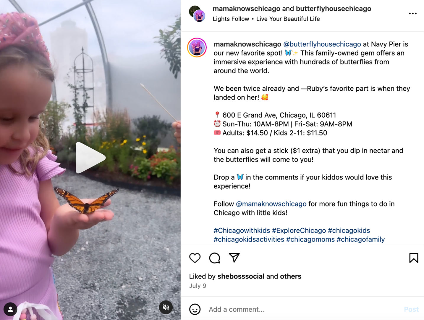 Video from Instagram of a mom taking her daughter to The Butterfly House at Navy Pier